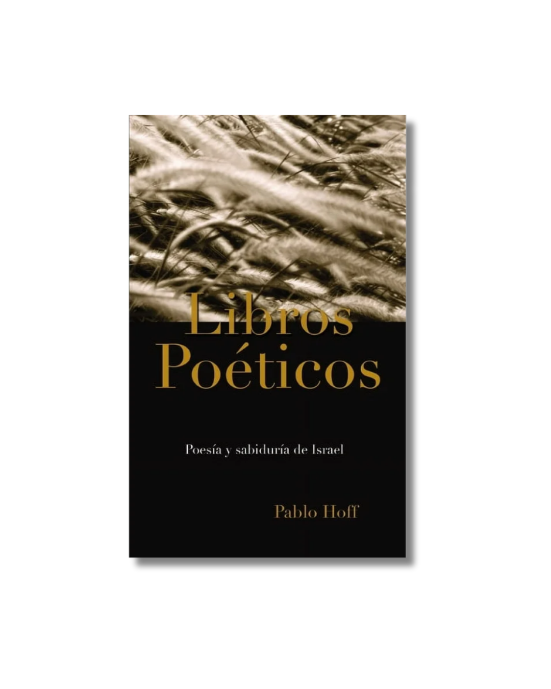 Libros Poéticos: Poesía Y Sabiduría de Israel