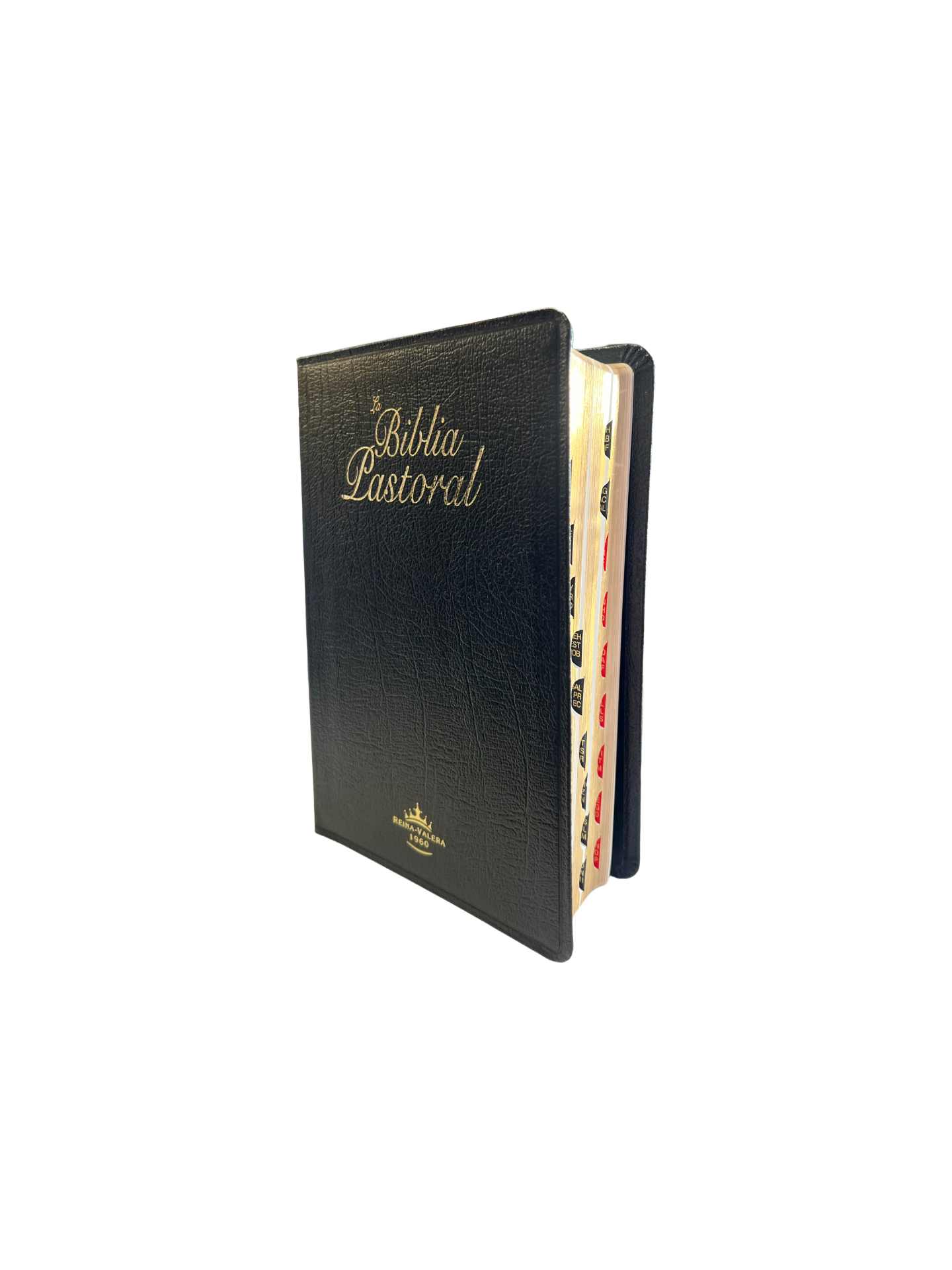 La Biblia Pastoral