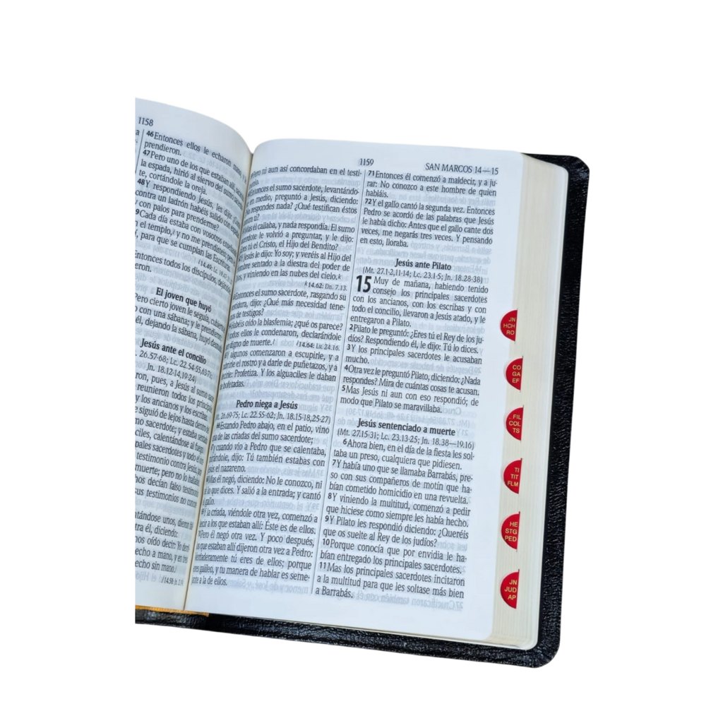 La Biblia Pastoral