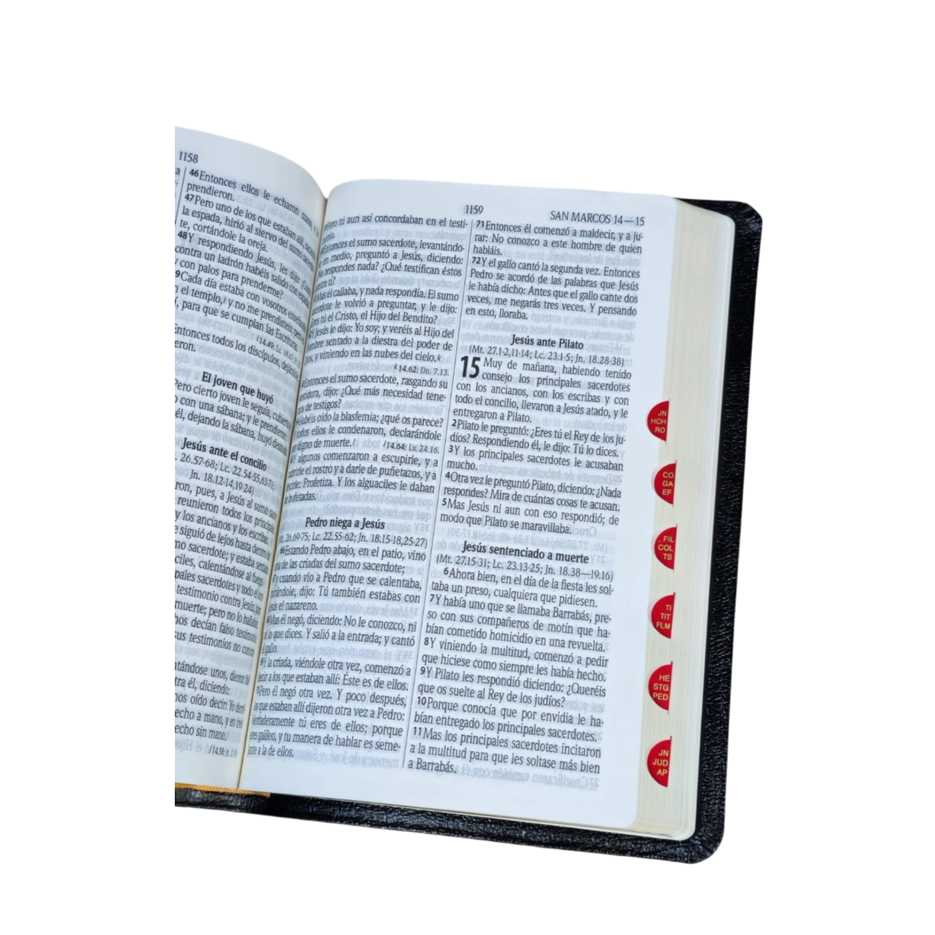 La Biblia Pastoral