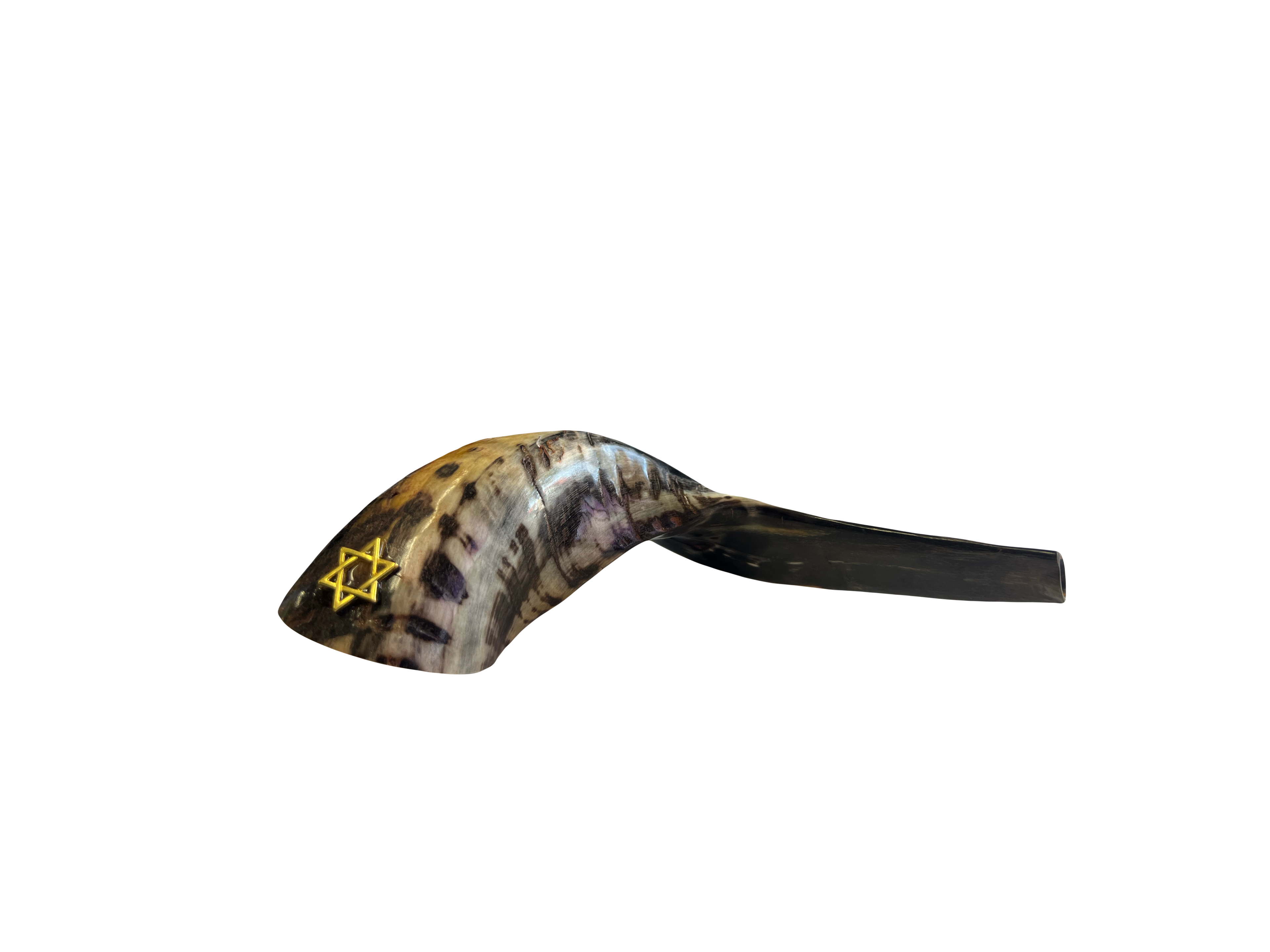 Ram Shofar